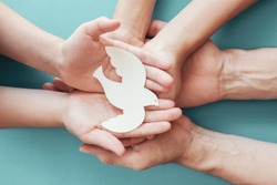Adult and child hands holding white dove bird on blue background, international day of peace or world peace day concept, sustainable consumption, csr responsible business, animal rights, hope concept
