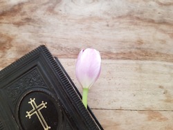 An ancient Danish hymnbook (Psalmer) with prayers and verses to sing in church or at home laying on a wooden vintage table with a single pink tulip. Communion, church, hope concept - space for text