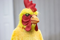 Adult Chicken Mascot Suit Yellow and Red Isolate