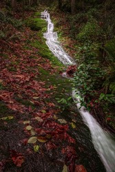  A SMALL WATER FALL RUNNING DOWN THE HILL ON THE TALUS ROCK TRAIL ON TIGER MOUNTAIN ISSAQUAH WASHINGTON