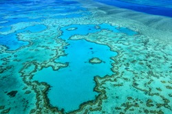 heart reef great barrier reef Whitsundays Queensland