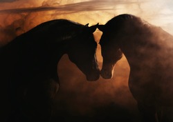 Beautiful portrait of two horses 