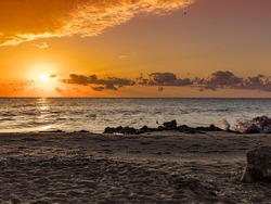 Golden blanket of clouds over a sunrise with a bird in the sky and one landing on the rocks of a Florida rocky beach.