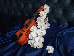 Still life with violin and white orchid on a bed