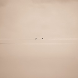 Two birds sitting on a power line cable. Perfect photo for quotes.