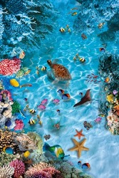 3d floor. High quality image with a stingray. Underwater world. Top view. for self-leveling floors. for photo wallpapers.