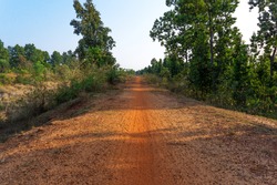 soil made village roads have gone inside the jungle surrounded by Green trees under blue sky at Indian Village, red road have gone inside the village forest, green trees, trees, Indian road 