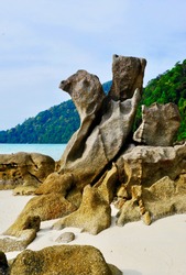 Sculpture texture rock on sandy beach of Surin island background is scenery of mountain, clam blue sea, sky. Shape of stone looks like chicken figure outline. 
