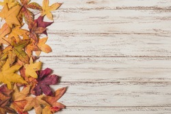Flat  lay autumn leaves copy space