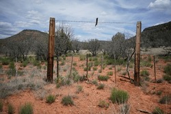Barbed Wire Fence Post Gate Entrance, Red Soil Arizona Desert Landscape