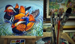              painting Acrylic color Mandarin duck                    