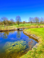 View on pond of a golf course in springtime