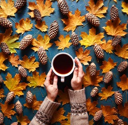 Floral autumn background. A mug of coffee in a woman's hand in a sweater on the green background with yellow falling leaves maple and cones. Hello autumn. Flat lay instagram fashion drink composition.