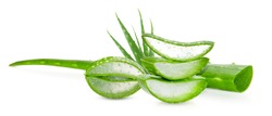 Fresh aloe vera leaves and slices is isolated with white background for Health and beauty products.