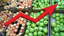 Red growing up arrow on green apples background. Fruit in supermarket. Bar charts and graphs. Rising food prices. Inflation concept. Retail industry. Economy. Local farmers Market. Crisis. Shopping.