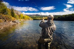 A fisherman catching a fish on a clear mountain river during the fall in North America.