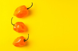 Three habanero peppers on yellow background