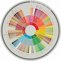 the coffee taster flavour wheels 