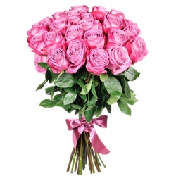 beautiful bouquet of pink roses on a white background