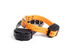 Dog shock or bark collar set. Large orange and black remote training collar for dogs. Device used for obedience training, recall or to reduce or stop barking. Selective focus. Isolated on white.