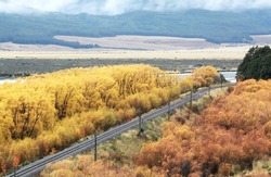 railroad  in newzealand with Autumn  season the colorfull day