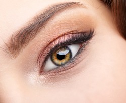 Closeup macro shot of  human female eye. Woman with natural evening vogue face beauty makeup. Girl with perfect skin and  pink  eyes shadows.