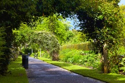 Alley in Belfast Botanic Gardens, Northern Ireland