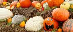 panoramic view of various Pumpkins and with an Happy Halloween Face Pumpkin in Straw. Decoration of Ripe Autumn Vegetables. Creative Decorating with Gourds in Fall.