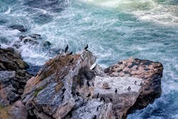 Waves and rocky coast of Kiyikoy Town of Kirklareli city in Turkey. Black Sea Coast. Cormorant birds resting on the rocks.