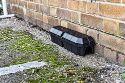 Black rodent bait and trap station being used outside a building to control rats. 