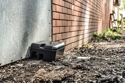 Black rodent bait and trap station being used outside a building to control rats. 