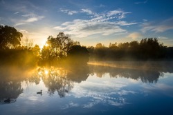 Two ducks swim their way into a beautifully calm morning on Jells Lake in Victoria, Australia, on a crisp Autumn day.