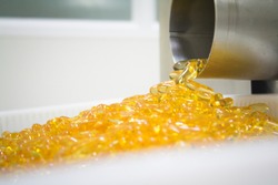 Fish oil production process in factory.