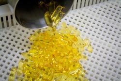 Fish oil or Soft gelatine production process