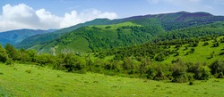 Panoramic green landscape in the valley with mountains and lush vegetation. Santander.