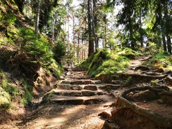 Stairs on the nature trail on the dolomites. Trentino Alto Adige. Naturalistic excursion. Magical landscape. Relaxing atmosphere. Unspoiled nature. Natural reserve. Summer holidays.