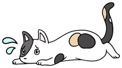 Vector illustration of a fallen calico cat with troubled face