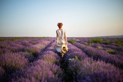 Young woman holding straw hat in her hands running on the lavender field. Girl dressed in a linen dress and a straw hat running between lavender flowers. Back view. Horizontal photo