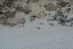 Black mold buildup in the old wall house