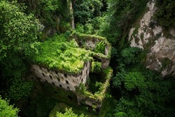 Old building ruins with vegetation growing