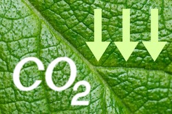 Co2 carbon dioxide sign and arrows down on green leaf background. Co2 reduction concept. Save the planet concept