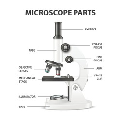 Microscope Parts. Vector 3d Realistic White Laboratory Microscope Isolated on White. Chemistry, Biology Tool. Science, Lab, Research, Education Infographics. Design Template. Front View