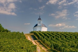 Terez chapel with vineyards in Tokaj region Hungary. Famous wine-producing countryside which a part of Unesco world heritage site. The world famous sweet Tokaji 6 putttonyos aszu wine make here. 