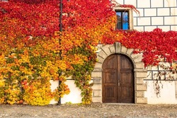 old elaborately plastered house facade with ornate wooden door in stone surround and window with Parthenocissus quinquefolia (Virginia creeper) in beautiful autumn colors