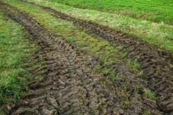 Agricultural vehicle with large wheels leaves deep tire marks on a meadow after rain has softened the ground surface