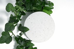 A podium made of concrete with green leaves of an ivy plant for the presentation of packaging and cosmetics, top view, on a white background. Product display with white concrete stone texture