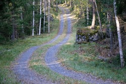 Gravel road through Swedish forest in fall