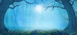 Happy Halloween holiday background with copy space.Dark  landscape with creepy trees and moon. Fairytalle  forest with fog.Ominous sky on Halloween night.