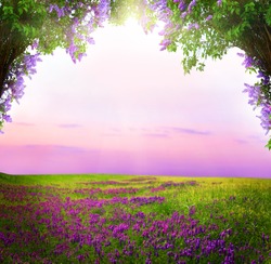 Fantasy  background . Magic forest.Beautiful spring  landscape.Lilac trees in blossom 