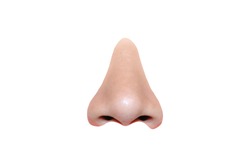View of the nose lustrings on white background